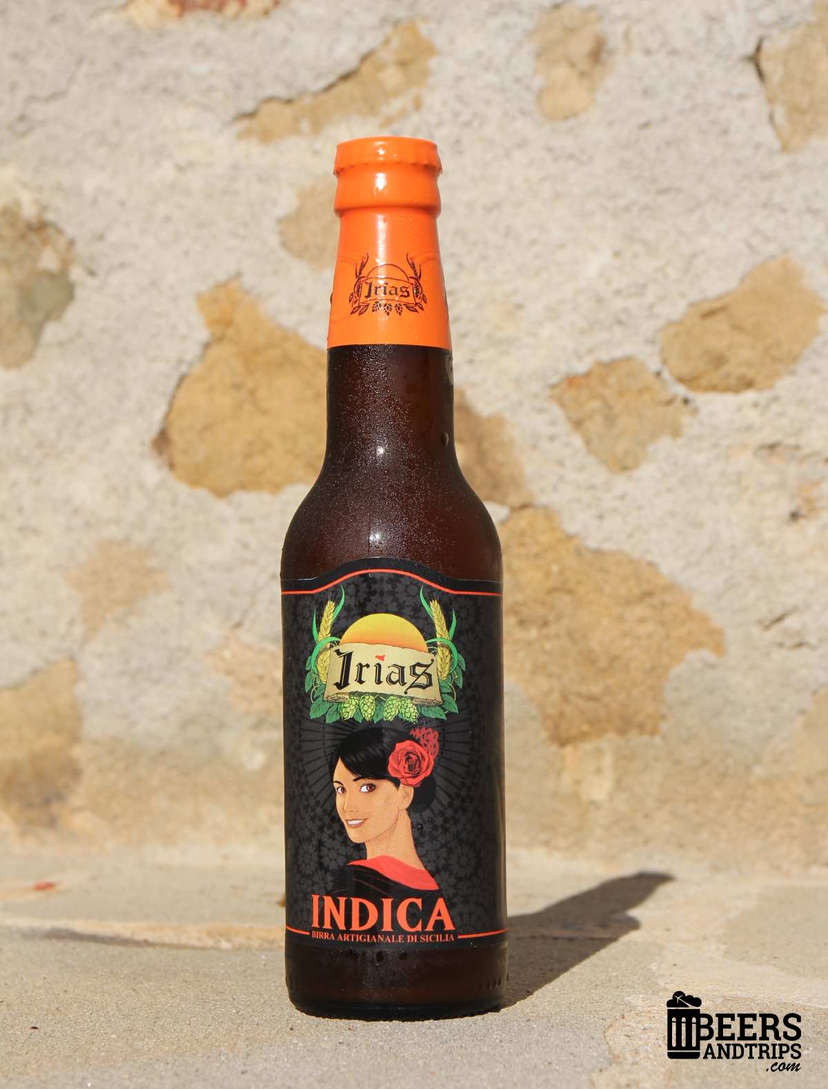 Birra Indica - Fruit Beer