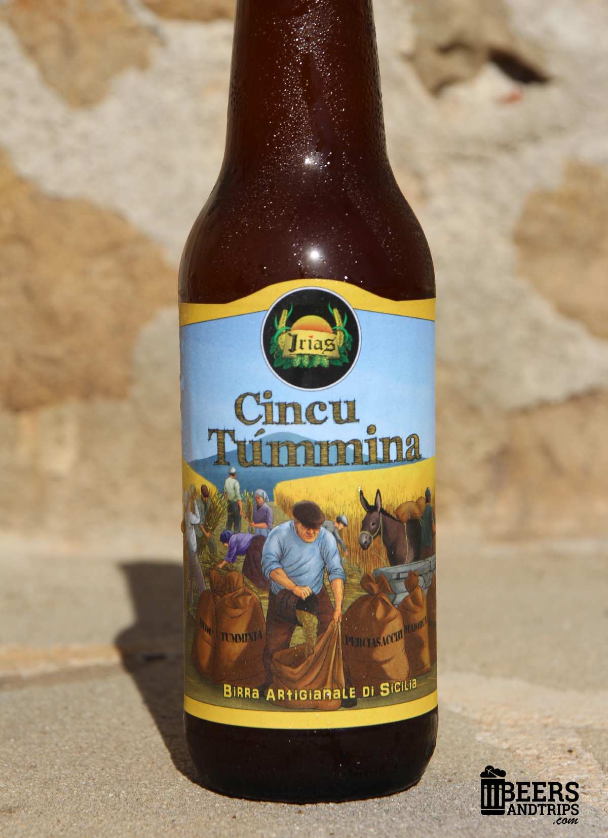 Cincu tummina - Wheat Ale